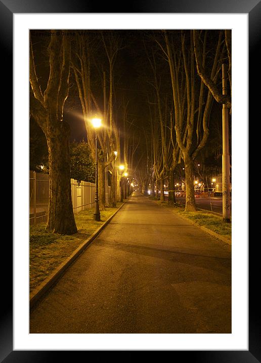 Streets of Rome at dawn Framed Mounted Print by Diane  Mohlman