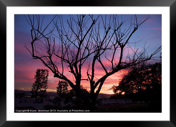Sunset Framed Mounted Print by Diane  Mohlman