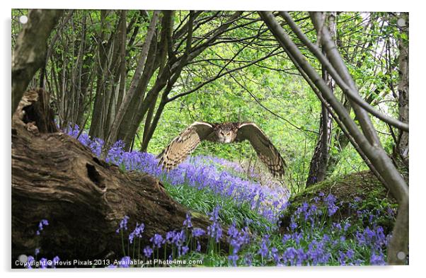 Woodland Flight Acrylic by Dave Burden
