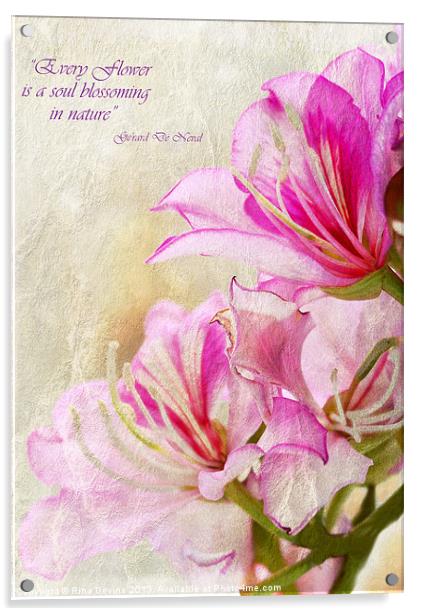 Pink Delight 1 Acrylic by Fine art by Rina