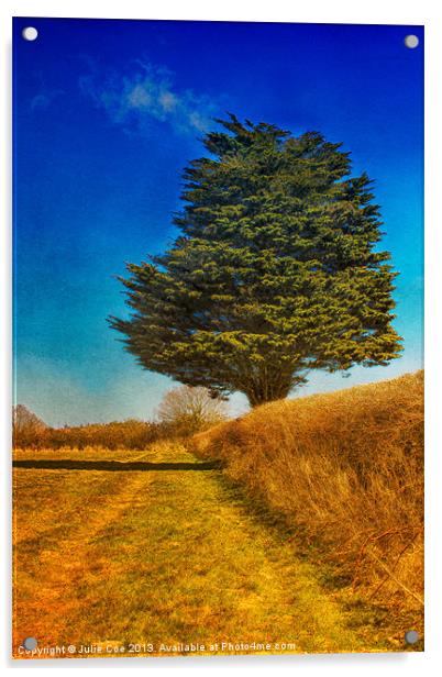 Yew Tree Acrylic by Julie Coe