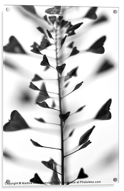Capsella silicules Acrylic by Martine Affre Eisenlohr