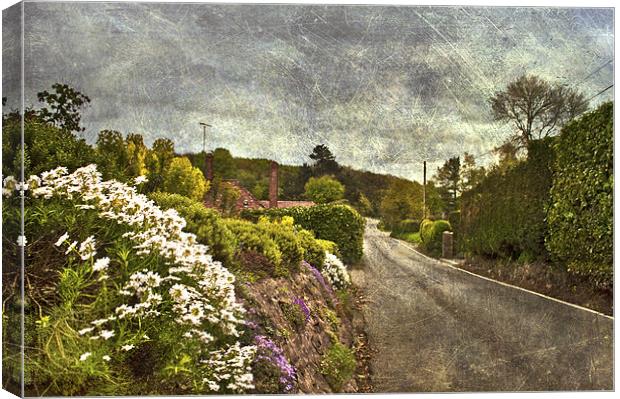 Down the Lane Canvas Print by Dawn Cox