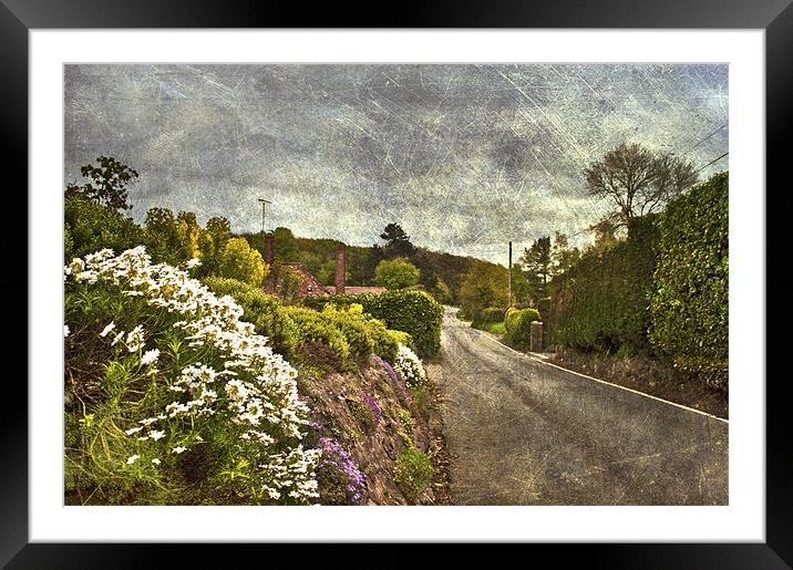 Down the Lane Framed Mounted Print by Dawn Cox