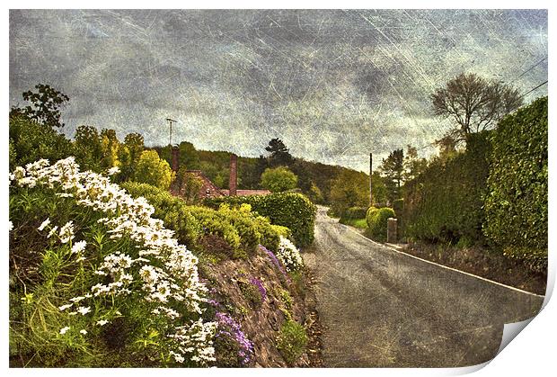 Down the Lane Print by Dawn Cox