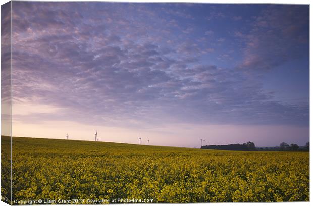 Oilseed rape field and wind farm at sunrise. Canvas Print by Liam Grant