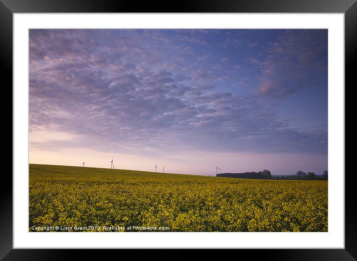 Oilseed rape field and wind farm at sunrise. Framed Mounted Print by Liam Grant