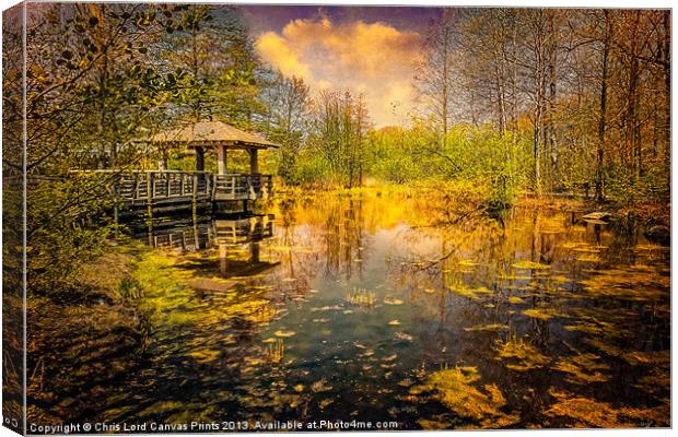 Wild Woodland Wetlands Canvas Print by Chris Lord