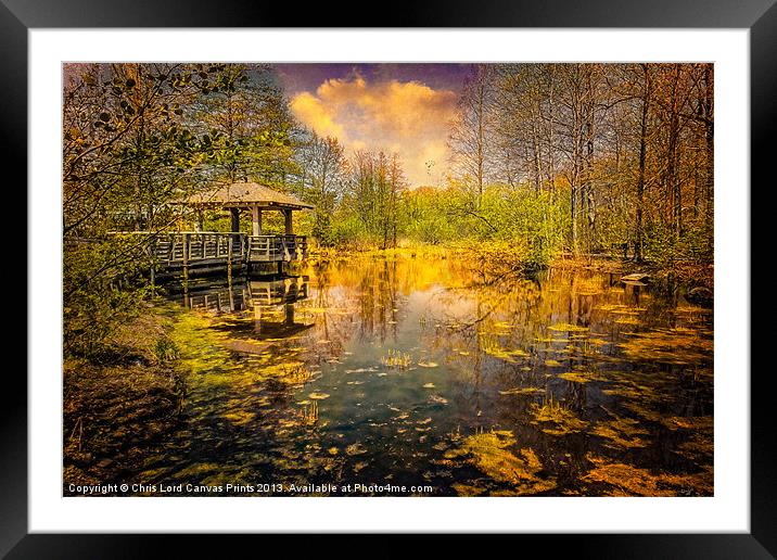 Wild Woodland Wetlands Framed Mounted Print by Chris Lord