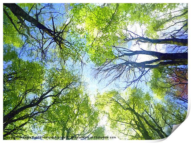 Treeview Print by Paula Palmer canvas