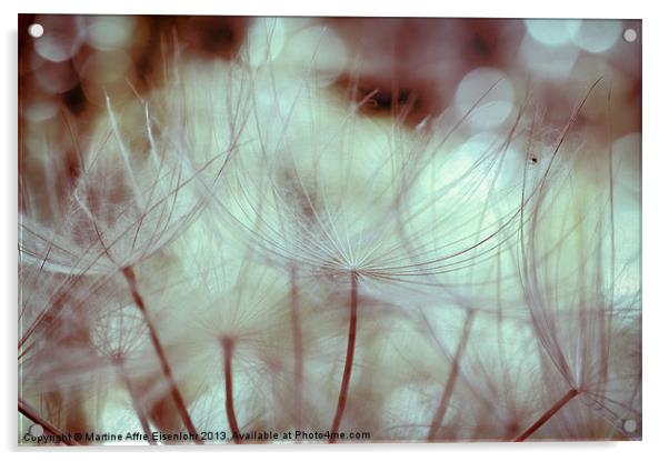 Flying seeds Acrylic by Martine Affre Eisenlohr