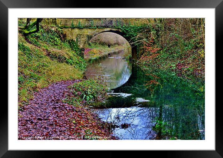 Thames & Severn Canal Framed Mounted Print by Paula J James