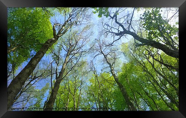 Treeview 2 Framed Print by Paula Palmer canvas
