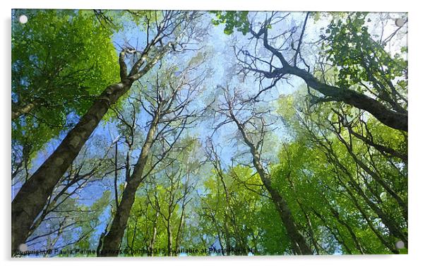 Treeview 2 Acrylic by Paula Palmer canvas