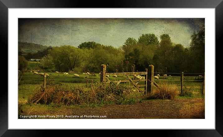 Gate View Framed Mounted Print by Dave Burden
