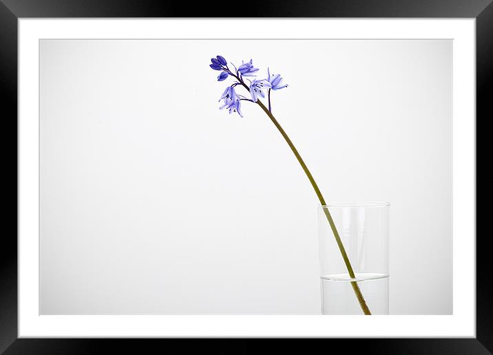 Calm Framed Mounted Print by Paul Rayment