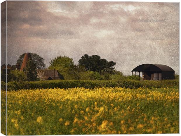 Old Barn and Oast Canvas Print by Dawn Cox