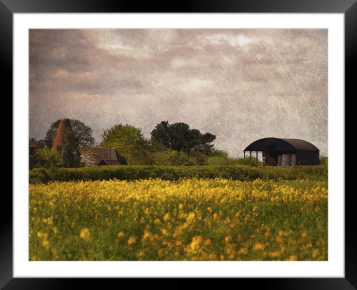 Old Barn and Oast Framed Mounted Print by Dawn Cox
