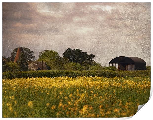 Old Barn and Oast Print by Dawn Cox