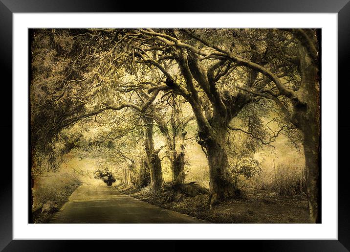 Gothic Road Framed Mounted Print by Jenny Rainbow
