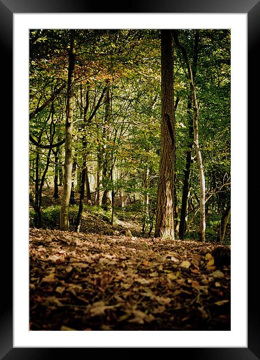 Autumn Woodland Walk Framed Mounted Print by Mark Battista
