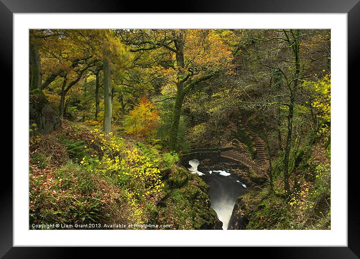 Bridge and steps at Aira Force waterfall. Framed Mounted Print by Liam Grant