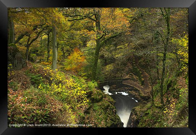 Bridge and steps at Aira Force waterfall. Framed Print by Liam Grant