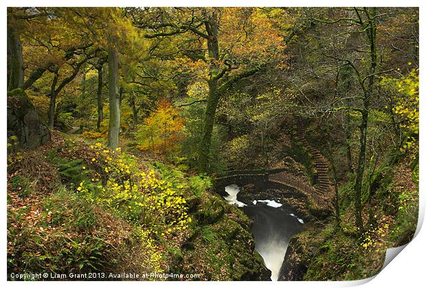 Bridge and steps at Aira Force waterfall. Print by Liam Grant