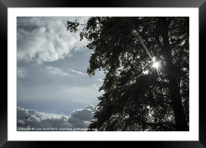 Sunlight through tree and clouds. Framed Mounted Print by Liam Grant