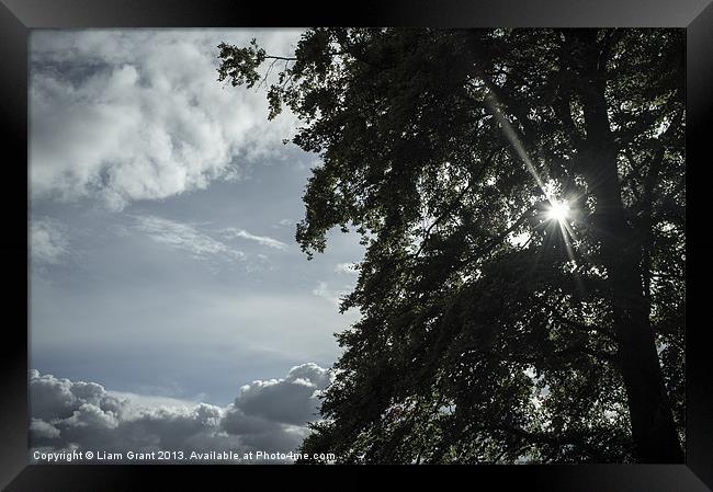 Sunlight through tree and clouds. Framed Print by Liam Grant