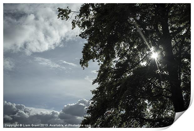 Sunlight through tree and clouds. Print by Liam Grant