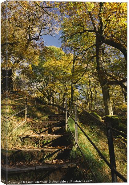 Footpath and steps through autumnal woodland Canvas Print by Liam Grant