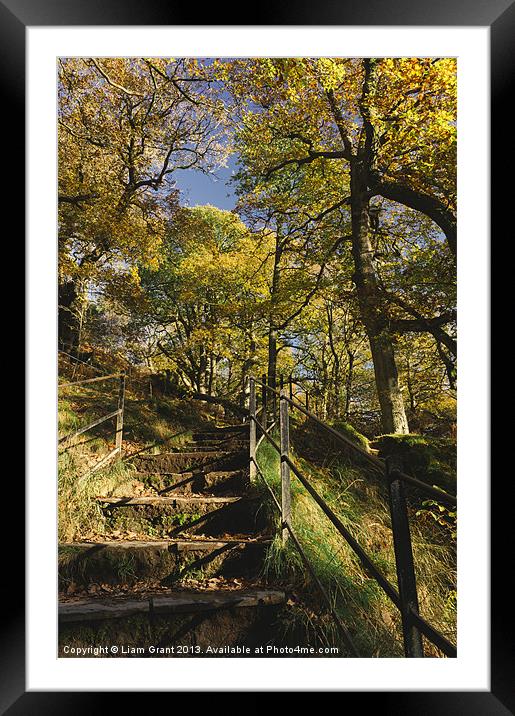 Footpath and steps through autumnal woodland Framed Mounted Print by Liam Grant