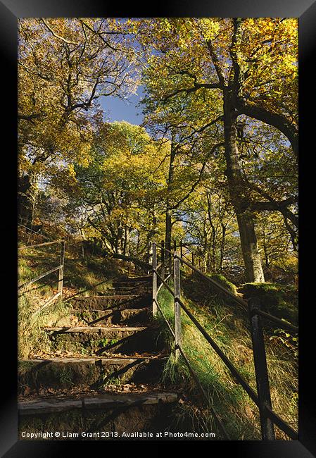 Footpath and steps through autumnal woodland Framed Print by Liam Grant