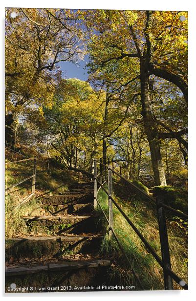 Footpath and steps through autumnal woodland Acrylic by Liam Grant