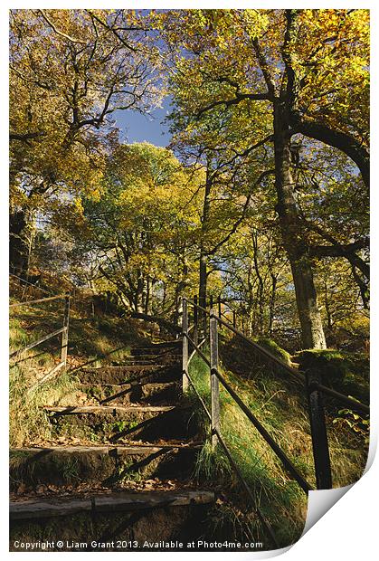 Footpath and steps through autumnal woodland Print by Liam Grant