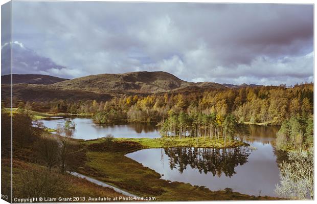 Tarn Hows and view to Yewdale Fells. Canvas Print by Liam Grant