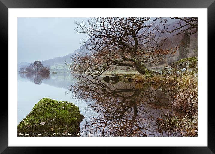 Tree Reflection on Rydal Water. Framed Mounted Print by Liam Grant