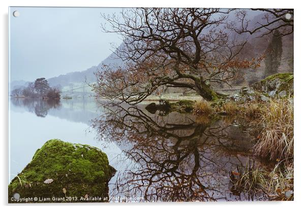 Tree Reflection on Rydal Water. Acrylic by Liam Grant
