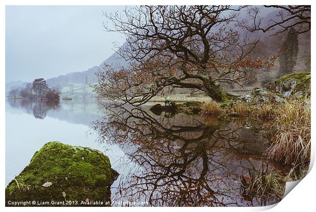 Tree Reflection on Rydal Water. Print by Liam Grant