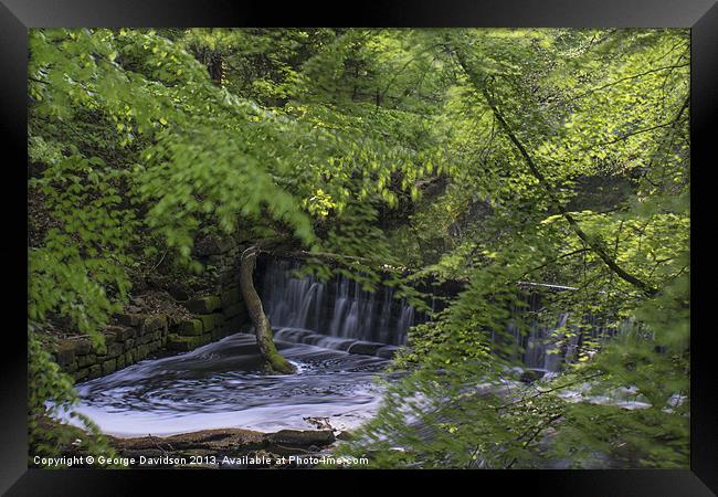 Enchanted Pool Framed Print by George Davidson