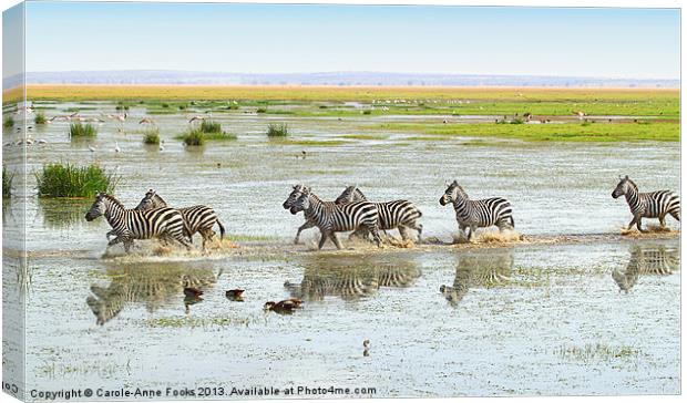 Zebra Crossing Kenya Canvas Print by Carole-Anne Fooks