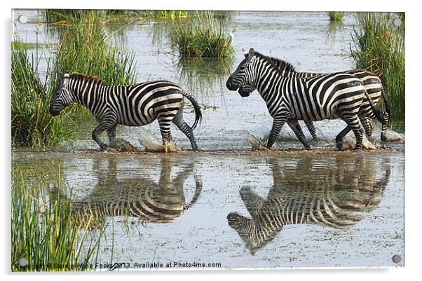 Zebra Crossing Kenya Acrylic by Carole-Anne Fooks