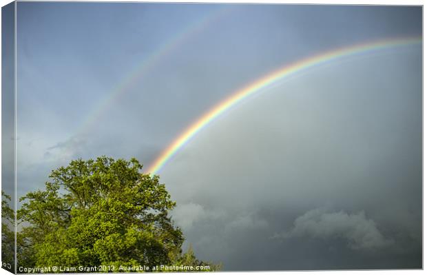 Oak tree and rainbow. Canvas Print by Liam Grant