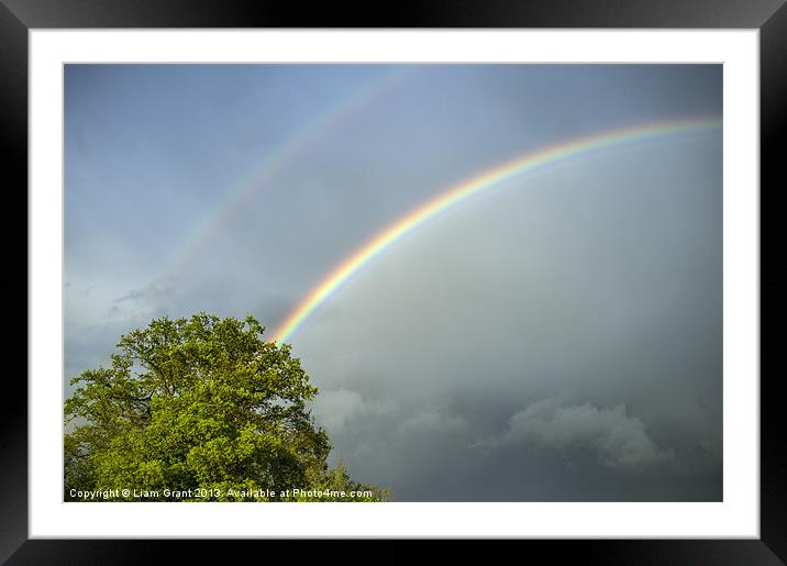 Oak tree and rainbow. Framed Mounted Print by Liam Grant
