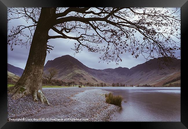 View of Fleetwith Pike and Haystacks above Butterm Framed Print by Liam Grant