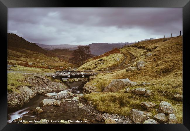 Wooden bridge over Hause Gill. Framed Print by Liam Grant