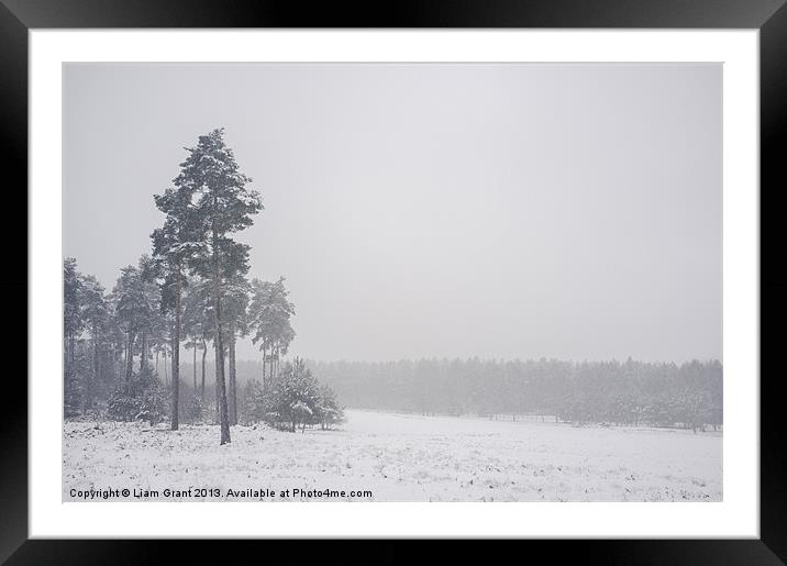 Heavy snow falling. Santon Downham. Framed Mounted Print by Liam Grant