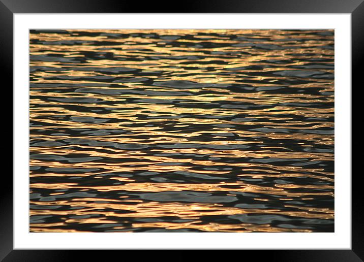 Reflection Framed Mounted Print by Neil Smith
