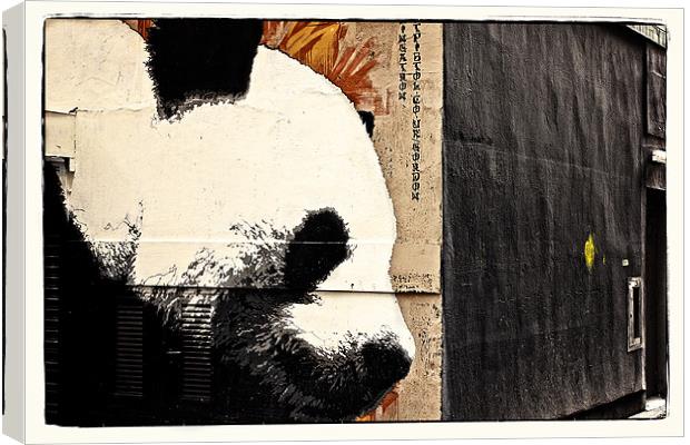 The Glasgow panda Canvas Print by jane dickie